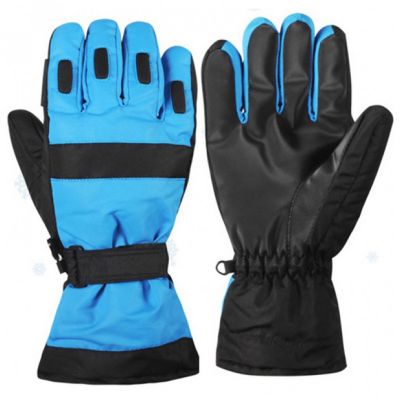 Ski Gloves